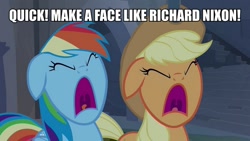 Size: 889x500 | Tagged: safe, imported from derpibooru, screencap, applejack, rainbow dash, earth pony, pegasus, pony, castle mane-ia, caption, edited screenacp, female, image macro, mare, meme, richard nixon, screaming, text