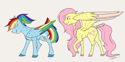 Size: 1024x512 | Tagged: safe, artist:mattsykun, imported from derpibooru, fluttershy, rainbow dash, colored wings, duo, simple background, spread wings, standing, tail feathers