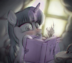 Size: 3335x2902 | Tagged: safe, artist:plotcore, imported from derpibooru, twilight sparkle, blushing, diary, female, magic, reading, solo