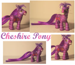 Size: 2467x2165 | Tagged: safe, artist:deepdarkcreations, imported from derpibooru, pony, alice in wonderland, cheshire cat, custom, customized toy, disney, g3, irl, photo, ponified, solo, toy