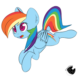 Size: 2000x2000 | Tagged: safe, artist:plnki, imported from derpibooru, rainbow dash, pegasus, pony, female, mare, open mouth, simple background, solo, transparent background