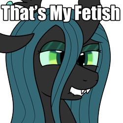 Size: 1000x1000 | Tagged: safe, artist:spritepony, imported from derpibooru, queen chrysalis, bedroom eyes, female, grin, image macro, lip bite, meme, meta, simple background, smiling, solo, text, that is my fetish, transparent background