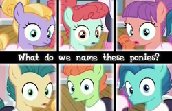 Size: 385x250 | Tagged: safe, edit, edited screencap, imported from derpibooru, screencap, ballet jubilee, berry star, shining passion, shuffle step, strawberry swing, waltzer, earth pony, pony, on your marks, caption, colt, female, filly, foal, hair bun, male, picture for breezies, ponytail, wide eyes