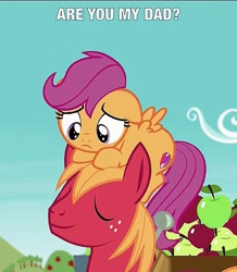 Size: 627x720 | Tagged: safe, imported from derpibooru, screencap, big macintosh, scootaloo, pony, on your marks, cutie mark, male, meme, ponies riding ponies, pony hat, riding, scootahat, scootaloo riding big macintosh, text, the cmc's cutie marks