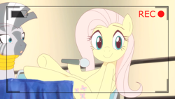 Size: 1366x768 | Tagged: safe, artist:deannart, imported from derpibooru, screencap, fluttershy, zecora, pegasus, pony, zebra, hooves on the table, microphone