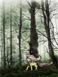 Size: 800x1060 | Tagged: safe, artist:hewison, imported from derpibooru, fluttershy, butterfly, female, forest, looking up, open mouth, raised hoof, solo, spread wings, windswept mane