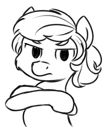 Size: 850x979 | Tagged: artist needed, safe, imported from derpibooru, earth pony, pony, angry, boy, child, colt, crossed arms, disappointed, foal, frown, glare, looking at you, male, meme, reaction image, why, you had one job