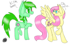 Size: 1024x640 | Tagged: safe, artist:oakfeathermlp, imported from derpibooru, fluttershy, oc, oc only, oc:vanna melon, pony, dialogue, heterochromia, simple background, transparent background