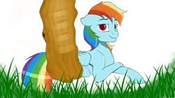 Size: 4800x2700 | Tagged: safe, artist:cold blight, derpibooru exclusive, imported from derpibooru, rainbow dash, pegasus, pony, cute, female, lying down, partially scenic