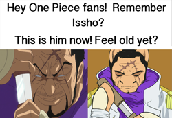 Size: 2039x1401 | Tagged: safe, artist:causticeichor, imported from derpibooru, crossover, feel old yet?, fujitora, issho, meme, one piece, text