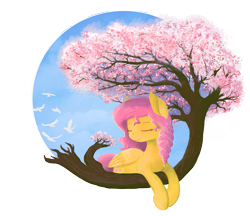 Size: 1157x1000 | Tagged: safe, artist:shiropoint, imported from derpibooru, fluttershy, bird, cherry blossoms, female, solo, tree