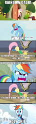 Size: 610x2082 | Tagged: safe, imported from derpibooru, fluttershy, rainbow dash, parody, tourettes guy, vulgar