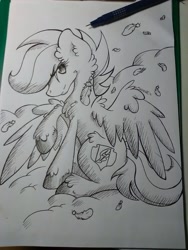 Size: 1024x1365 | Tagged: safe, artist:rainbowshine94, imported from derpibooru, scootaloo, chest fluff, cutie mark, ear fluff, female, monochrome, solo, the cmc's cutie marks, traditional art, unshorn fetlocks