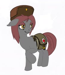 Size: 1749x2006 | Tagged: safe, imported from derpibooru, oc, oc only, oc:veronika, earth pony, pony, bag, female, floppy ears, hat, hooves, mare, medic, medical saddlebag, raised hoof, saddle bag, simple background, solo, white background