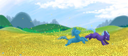 Size: 900x391 | Tagged: safe, artist:extract-of, imported from derpibooru, earth pony, pony, concept art, field, flower, legends of equestria, scenery