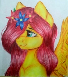 Size: 1153x1316 | Tagged: safe, artist:sweesear, edit, imported from derpibooru, fluttershy, pegasus, pony, drawing, female, flower, flower in hair, green eyes, looking away, mane, pink mane, solo, spread wings, traditional art, wings