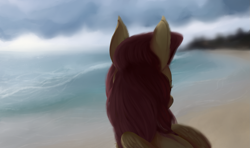 Size: 1627x963 | Tagged: safe, artist:colorlesscupcake, imported from derpibooru, fluttershy, pegasus, pony, beach, bust, female, head turn, looking away, ocean, rear view, solo, turned head, wings