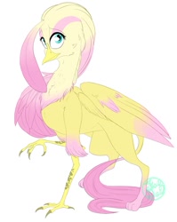 Size: 798x1001 | Tagged: safe, artist:farewelldecency, imported from derpibooru, fluttershy, griffon, female, griffonized, my little griffon, simple background, solo, species swap, white background