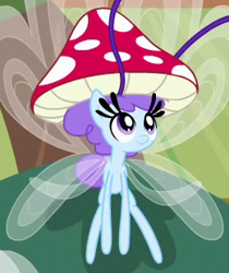 Size: 260x310 | Tagged: safe, imported from derpibooru, screencap, breezette, breezie, it ain't easy being breezies, hat, mushroom, mushroom hat, solo