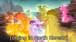 Size: 720x400 | Tagged: safe, edit, edited screencap, imported from derpibooru, screencap, amarant, ballista, barry, billy (dragon), prominence, rex (dragon), viverno, dragon, gauntlet of fire, billy, crying, image macro, meme, north korea, politics, rex