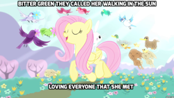 Size: 1280x720 | Tagged: safe, imported from derpibooru, angel bunny, fluttershy, bird, blue jay, duck, rabbit, filli vanilli, bitter green, duckling, gordon lightfoot, lyrics, song reference, text