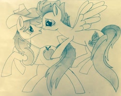 Size: 1004x796 | Tagged: safe, artist:pintopony246, imported from derpibooru, braeburn, spitfire, female, male, monochrome, shipping, spitburn, straight