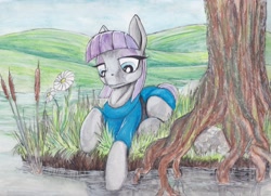 Size: 2338x1696 | Tagged: safe, artist:scribblepwn3, imported from derpibooru, maud pie, earth pony, pony, female, pen drawing, scenery, solo, traditional art, watercolor painting