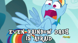 Size: 1365x766 | Tagged: safe, edit, edited screencap, imported from derpibooru, screencap, rainbow dash, no second prances, discovery family logo, even speedwagon is afraid, faic, female, flying, jojo's bizarre adventure, meme, rainbow dash is best facemaker, reference, robert eo speedwagon, solo, text