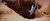 Size: 1920x815 | Tagged: safe, edit, edited screencap, imported from derpibooru, screencap, trixie, pony, unicorn, no second prances, female, imminent vore, manticore mouth dive, mare, moonshot manticore mouth dive, return of the jedi, sarlacc, sarlacc pit, star wars