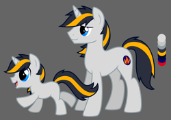 Size: 7000x4896 | Tagged: safe, artist:wingedwolf94, imported from derpibooru, oc, oc only, oc:nightflame, pony, unicorn, absurd resolution, commission, foal, reference sheet, vector