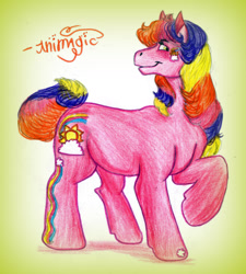 Size: 1148x1274 | Tagged: safe, artist:animagicworld, imported from derpibooru, rainbow flash, female, g3, solo, traditional art