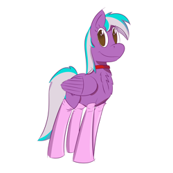 Size: 2500x2500 | Tagged: safe, artist:darklordsnuffles, imported from derpibooru, oc, oc only, oc:numbers, pegasus, pony, chest fluff, clothes, collar, looking at you, smiling, socks, solo