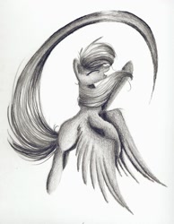 Size: 1024x1319 | Tagged: safe, artist:mufflinka, imported from derpibooru, rainbow dash, female, flying, monochrome, solo