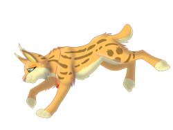 Size: 2048x1536 | Tagged: safe, artist:perle-de-suie, imported from derpibooru, applejack, big cat, lynx, applecat, female, fluffy, frown, necklace, running, simple background, solo, species swap, transparent background
