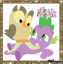 Size: 389x400 | Tagged: safe, imported from derpibooru, owlowiscious, spike, animated, blingee, exploitable meme, meme