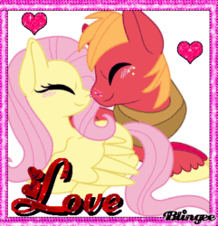 Size: 385x400 | Tagged: artist needed, safe, imported from derpibooru, big macintosh, fluttershy, earth pony, pony, animated, blingee, cute, exploitable meme, fluttermac, macabetes, male, meme, shipping, shyabetes, stallion, straight