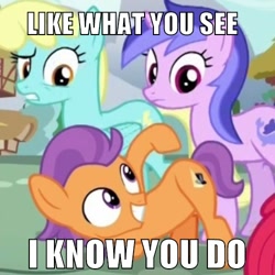 Size: 500x500 | Tagged: safe, edit, edited screencap, imported from derpibooru, screencap, sassaflash, sea swirl, seafoam, tender taps, earth pony, pegasus, pony, unicorn, on your marks, caption, colt, female, image macro, look at my ass, look at my butt, male, mare, meme, plot