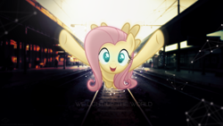 Size: 1920x1080 | Tagged: safe, artist:minhbuinhat99, artist:thatguy1945, artist:vashar23, imported from derpibooru, fluttershy, human, pegasus, pony, coming at you, female, flying, glow, glowing, incoming hug, it's coming right at us, looking at you, open mouth, railroad, smiling, solo, train station, train tracks, underhoof, vector, wallpaper