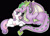 Size: 1024x731 | Tagged: safe, artist:momo-muddycakes, imported from derpibooru, spike, sweetie belle, :o, adult spike, black background, blushing, eye contact, female, fluffy, imminent kissing, male, older, older spike, pregnant, prone, shipping, simple background, smiling, spikebelle, straight, watermark, winged spike, wings