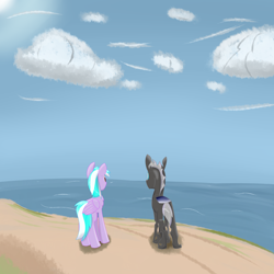 Size: 3000x3000 | Tagged: safe, artist:darklordsnuffles, imported from derpibooru, oc, oc only, oc:#4330715, oc:numbers, changeling, pegasus, pony, beach, ocean, water