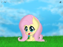 Size: 2048x1536 | Tagged: artist needed, safe, imported from derpibooru, fluttershy, female, solo, wat