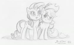 Size: 4458x2730 | Tagged: source needed, safe, artist:imdrunkontea, imported from derpibooru, applejack, rarity, absurd resolution, commission, female, hug, lesbian, pencil drawing, rarijack, shipping, sketch, traditional art