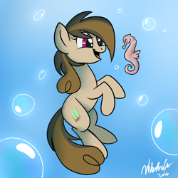 Size: 900x900 | Tagged: safe, artist:wubcakeva, imported from derpibooru, oc, oc only, oc:cupcake slash, seahorse, solo, underwater