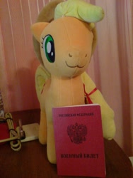 Size: 960x1280 | Tagged: safe, artist:onlyfactory, imported from derpibooru, applejack, :3, bootleg, irl, passport, photo, plushie, russian, solo, toy