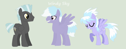 Size: 1024x403 | Tagged: safe, artist:aquadusk, imported from derpibooru, cloudchaser, thunderlane, oc, oc:windy sky, pegasus, pony, female, male, mare, offspring, parent:cloudchaser, parent:thunderlane, parents:thunderchaser, shipping, simple background, stallion, straight, thunderchaser