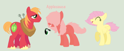 Size: 1024x424 | Tagged: safe, artist:aquadusk, imported from derpibooru, big macintosh, fluttershy, oc, oc:applesauce, earth pony, pony, fluttermac, hair over eyes, male, offspring, parent:big macintosh, parent:fluttershy, parents:fluttermac, shipping, simple background, stallion, straight