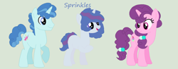 Size: 1024x400 | Tagged: safe, artist:aquadusk, imported from derpibooru, party favor, sugar belle, oc, oc:sprinkles, blank flank, female, male, offspring, parent:party favor, parent:sugar belle, parents:partybelle, partybelle, shipping, simple background, straight