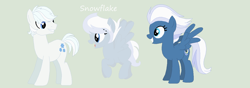 Size: 1024x362 | Tagged: safe, artist:aquadusk, imported from derpibooru, double diamond, night glider, oc, oc:snowflake, earth pony, pegasus, pony, blank flank, female, male, nightdiamond, offspring, parent:double diamond, parent:night glider, parents:nightdiamond, shipping, show accurate, simple background, straight