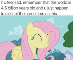 Size: 960x796 | Tagged: safe, imported from derpibooru, screencap, fluttershy, cute, image macro, meme, text