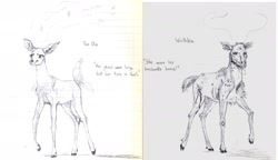 Size: 2051x1179 | Tagged: safe, artist:wisdom-thumbs, imported from derpibooru, oc, oc only, deer, lined paper, monochrome, pencil drawing, skull, swordpony, traditional art